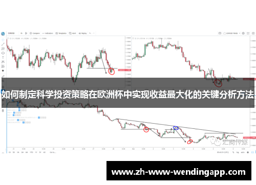 如何制定科学投资策略在欧洲杯中实现收益最大化的关键分析方法