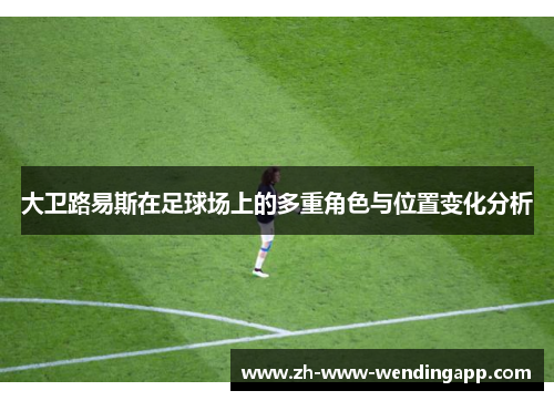 大卫路易斯在足球场上的多重角色与位置变化分析