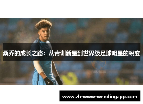 桑乔的成长之路：从青训新星到世界级足球明星的蜕变