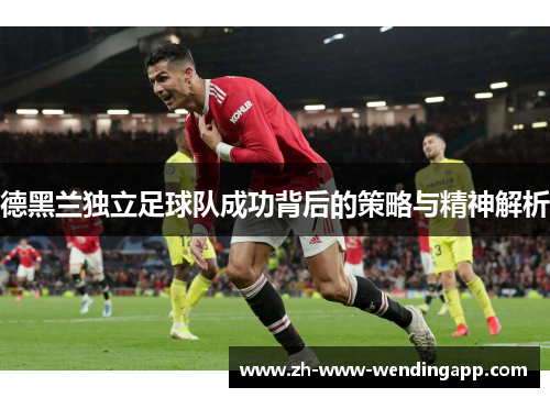 德黑兰独立足球队成功背后的策略与精神解析 德黑兰独立足球队成功背后的策略与精神解析