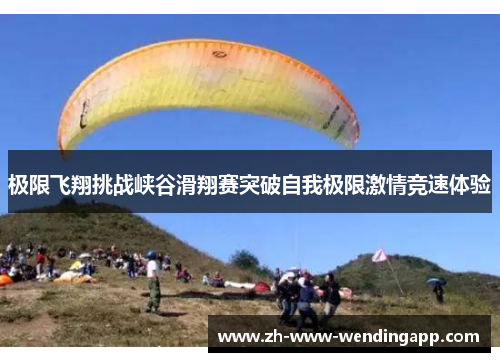 极限飞翔挑战峡谷滑翔赛突破自我极限激情竞速体验 极限飞翔挑战峡谷滑翔赛突破自我极限激情竞速体验