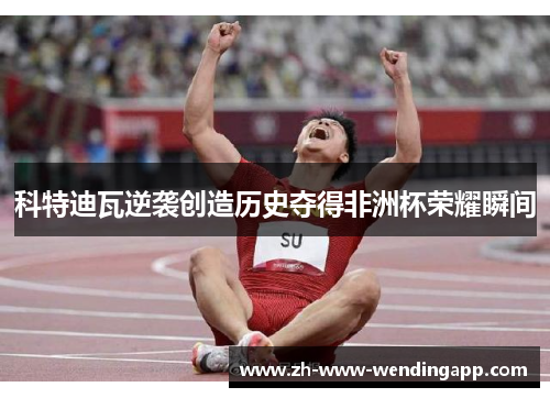 科特迪瓦逆袭创造历史夺得非洲杯荣耀瞬间 科特迪瓦逆袭创造历史夺得非洲杯荣耀瞬间