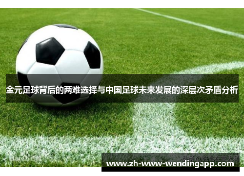 金元足球背后的两难选择与中国足球未来发展的深层次矛盾分析 金元足球背后的两难选择与中国足球未来发展的深层次矛盾分析