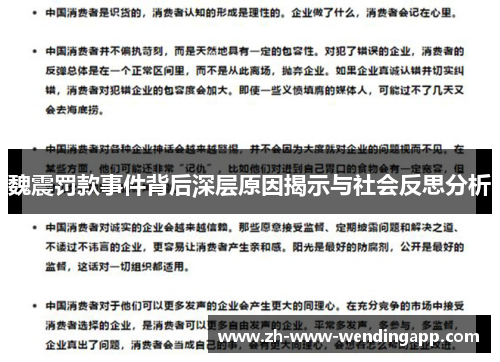 魏震罚款事件背后深层原因揭示与社会反思分析