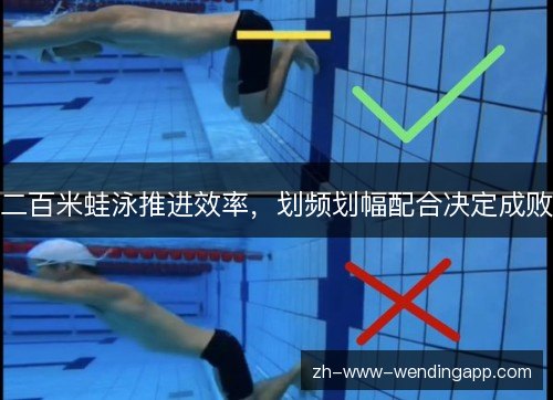 二百米蛙泳推进效率,划频划幅配合决定成败 二百米蛙泳推进效率,划频划幅配合决定成败
